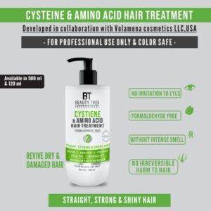 BT Cysteine & Amino Acid Hair Treatment, 500ml